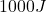  1000 J 
