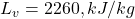 L_v = 2260 , kJ/kg