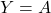  Y = A 