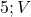  5 ; V 